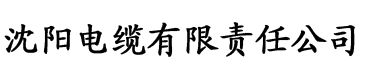 新婚第一版主网电缆厂logo